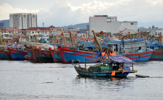 Ứng phó siêu bão Noru: Đã liên lạc được 35 tàu cá của Đà Nẵng