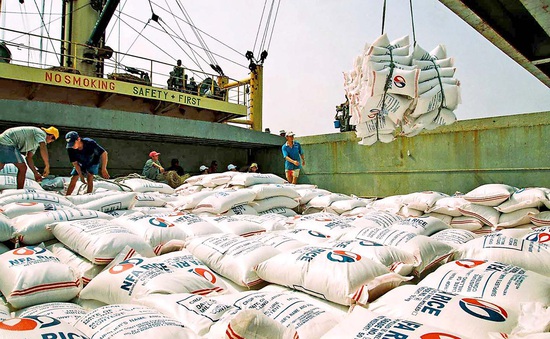 Bộ Công Thương khuyến cáo doanh nghiệp thúc đẩy xuất khẩu gạo