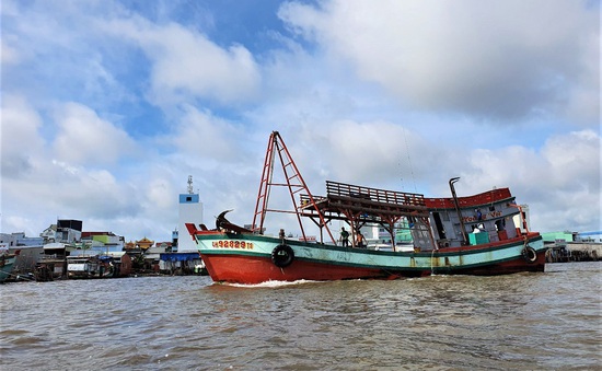 Cà Mau: Kêu gọi hưởng ứng chống khai thác hải sản bất hợp pháp