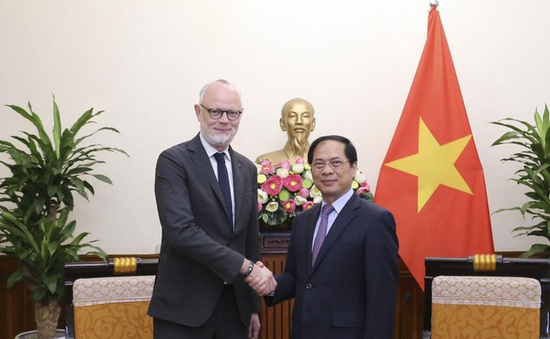 Quan hệ đối tác chiến lược  Việt Nam - Pháp ngày càng phát triển hiệu quả, thực chất