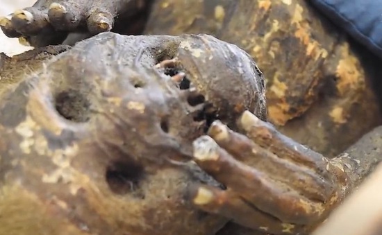 “Vén màn” bí ẩn xác ướp nàng tiên cá nổi tiếng ở Nhật Bản