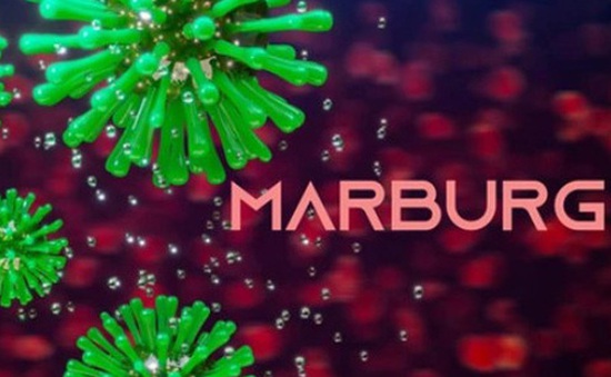WHO thông báo về dịch Marburg ở châu Phi