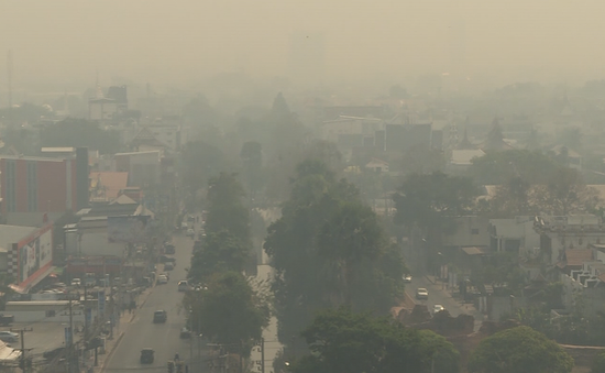 Ô nhiễm không khí, Thái Lan cân nhắc áp lệnh giới nghiêm ngăn cháy rừng lan rộng