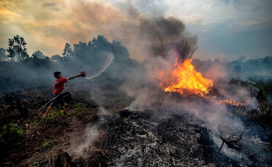 Malaysia ô nhiễm do cháy rừng tại Indonesia