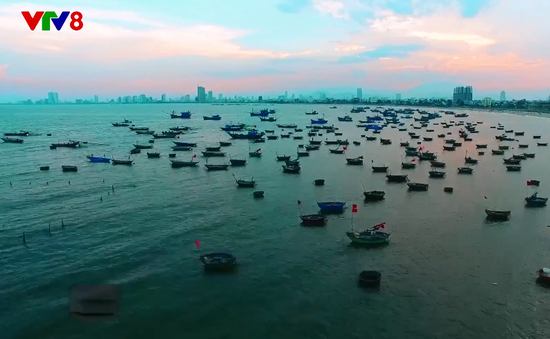 Nhộn nhịp Cảng cá Thọ Quang - Đà Nẵng