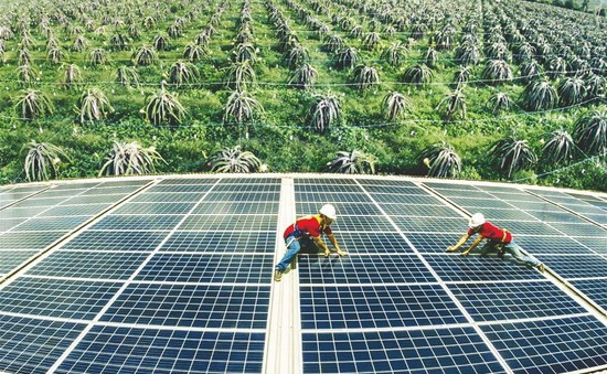 Kinh nghiệm quốc tế để thu hút nguồn vốn xanh tại Việt Nam