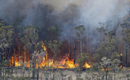 Cháy rừng lan rộng ở Đông Nam Australia giữa đợt nắng nóng mùa xuân