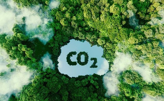 Đẩy nhanh phát triển thị trường carbon, ngăn GDP bị “thổi bay” hàng tỷ USD