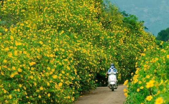 Những điểm đến mang đậm sắc thu tại Việt Nam