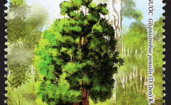 Phát hành bộ tem “Cây gỗ quý” nâng cao nhận thức trong bảo vệ hệ sinh thái rừng