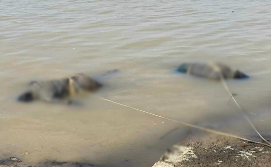 Hà Tĩnh: Phát hiện 2 thi thể nam giới nổi trên sông Lam