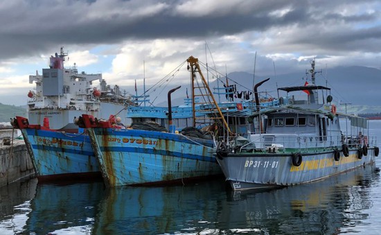 Thừa Thiên Huế: Biên phòng bắt giữ 2 tàu cá đánh bắt thuỷ sản trái phép
