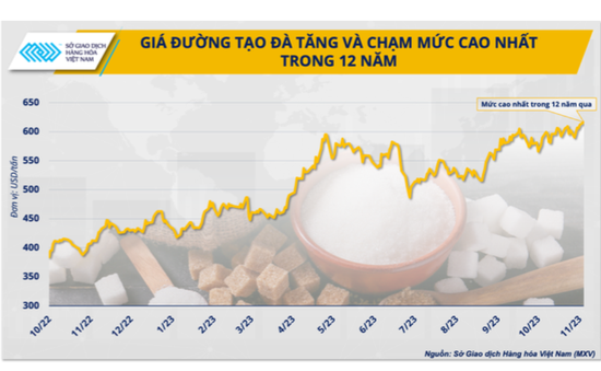 Giá đường cao lịch sử có tạo nên ‘thời điểm vàng’ cho ngành mía đường hồi phục?