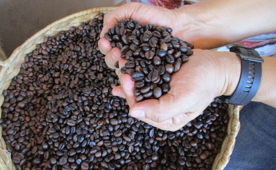 Xuất khẩu cà phê đạt kim ngạch cao nhất lịch sử