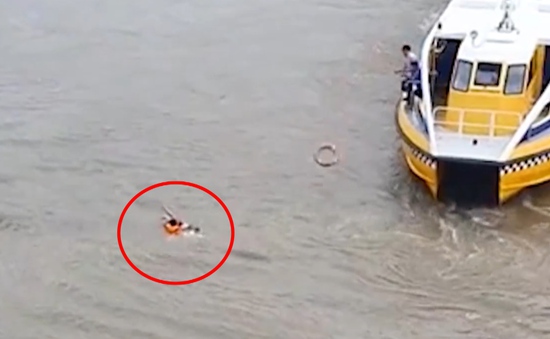 Nhân viên bus sông cứu một phụ nữ nhảy cầu