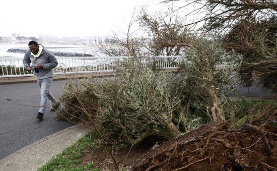 Bão Ciaran khiến ít nhất 4 người thiệt mạng, tàn phá châu Âu với gió mạnh và mưa lớn
