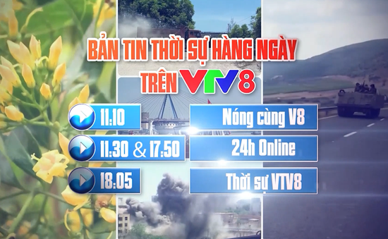 VTV8 - Tin tức cập nhật mỗi ngày