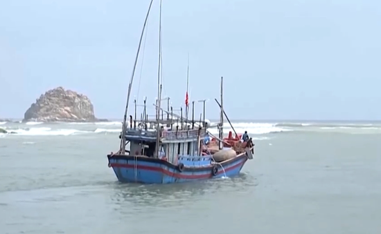 Bình Định: Đảm bảo chi tiền xăng dầu hỗ trợ ngư dân vươn khơi
