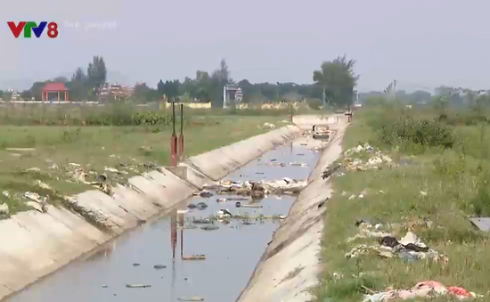 Vứt xác gia súc xuống kênh mương - Hành vi hủy hoại môi trường