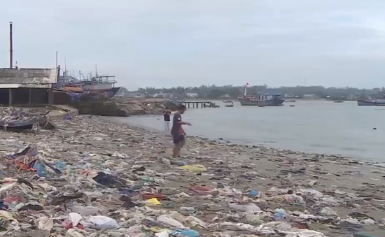 Nhiều vùng ven biển ngập rác thải gây ô nhiễm