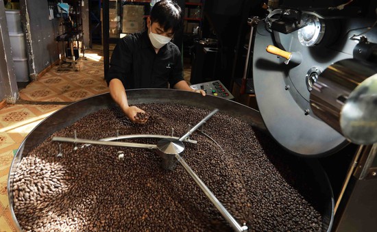 Giá tăng cao, xuất khẩu cà phê có thể đạt 5 tỷ USD trong năm 2024