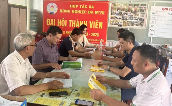HTX Đạ M’Ri – Cách làm thương hiệu ở thủ phủ sầu riêng Đạ Huoai
