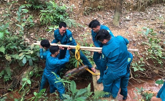 Xử lý kịp thời quả bom nặng 120kg trong vườn cao su ở Bình Phước