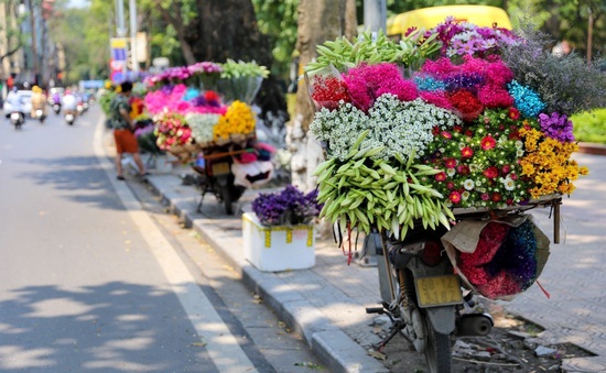 Hoa loa kèn - Điểm nhấn tuyệt đẹp cho bức tranh giao mùa của Hà Nội