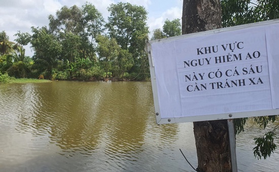 Bạc Liêu: Cảnh báo cá sấu ở các ao, kênh trên địa bàn xã Long Thạnh