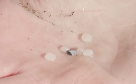 Săn tìm hạt nhựa trên các bãi biển Anh