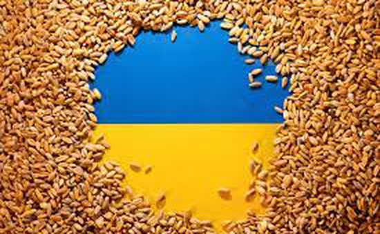 Châu Âu đạt thỏa thuận nối lại vận chuyển ngũ cốc của Ukraine với 5 nước EU