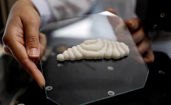 Khoanh cá tạo ra từ công nghệ in 3D