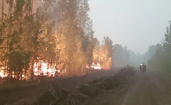 Cháy rừng lan rộng, tỉnh Alberta (Canada) buộc phải ngừng sản xuất dầu
