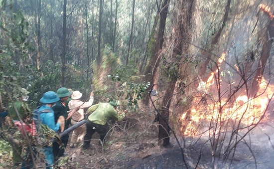 Hàng trăm người tham gia chữa cháy rừng ở Hà Tĩnh