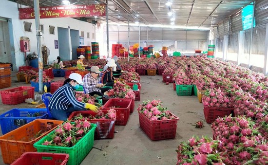 Nông sản Việt đắt khách tại châu Á