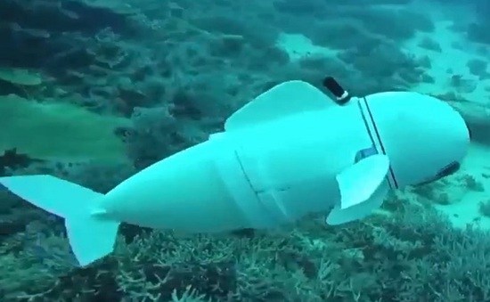 Robot cá giám sát đại dương