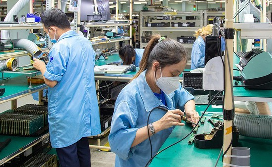 Kinh tế TP Hồ Chí Minh 6 tháng đầu năm tăng trưởng 3,55%