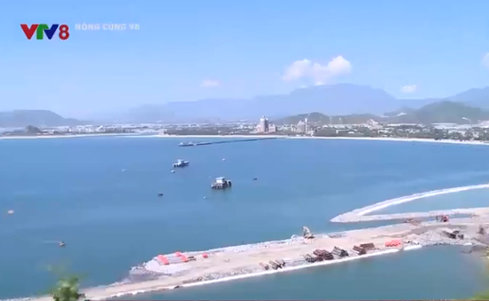 Xung quanh vấn đề đền bù tái định cư dự án cảng Liên Chiểu, Đà Nẵng