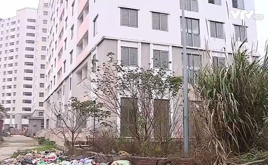 Lãng phí hàng chục nghìn căn hộ tái định cư bị bỏ hoang