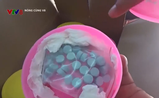 Triệt phá đường dây ma túy lớn từ TP Hồ Chí Minh về Khánh Hòa
