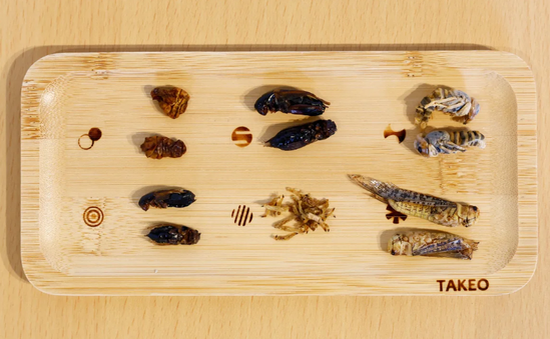 Ẩm thực làm từ côn trùng được đón nhận tại Nhật Bản