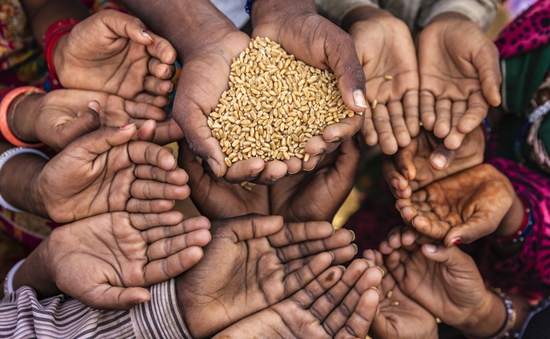 Cạn kiệt nguồn tiền, Liên hợp quốc ngừng viện trợ lương thực cho hàng triệu người