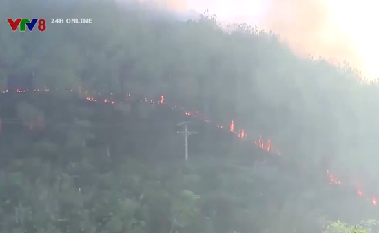 Thừa Thiên Huế: Huy động hàng trăm người chữa cháy rừng