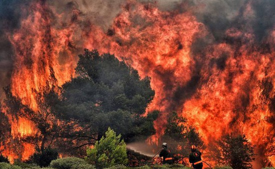 Cháy rừng gia tăng về số lượng và cường độ trên toàn thế giới