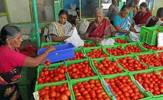 Giá nông sản tại Ấn Độ tăng chóng mặt