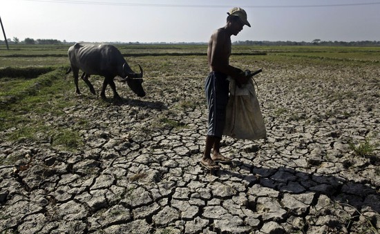 El Nino đe dọa ngành nông nghiệp ASEAN