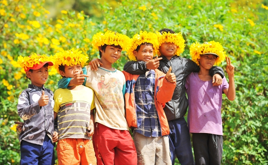 Gia Lai: Tổ chức Tuần lễ hoa dã quỳ - núi lửa Chư Đăng Ya trong tháng 11/2023