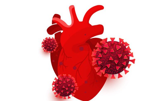 Hàng loạt người từng mắc COVID-19 tại Mỹ gặp vấn đề về tim mạch
