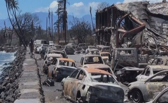 Thảm họa cháy rừng: Người dân Hawaii trở về giữa đống tro tàn