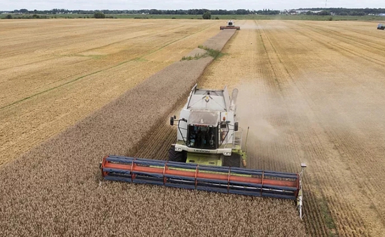 Ba Lan gia hạn lệnh cấm nhập khẩu ngũ cốc của Ukraine